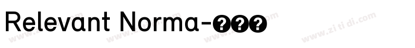 Relevant Norma字体转换